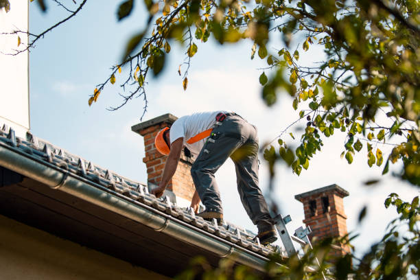 Professional Roofing Contractor in Clarkston Heights Vineland, WA